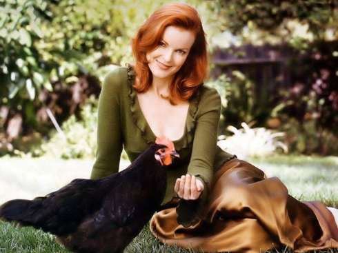 Marcia Cross-web1