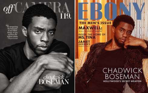 Chadwick double covers -1