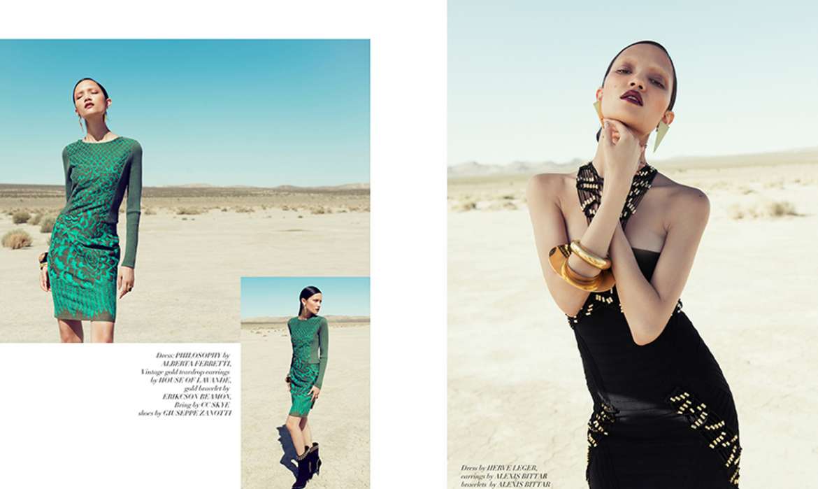 Desert-Rose-Tearsheets-4