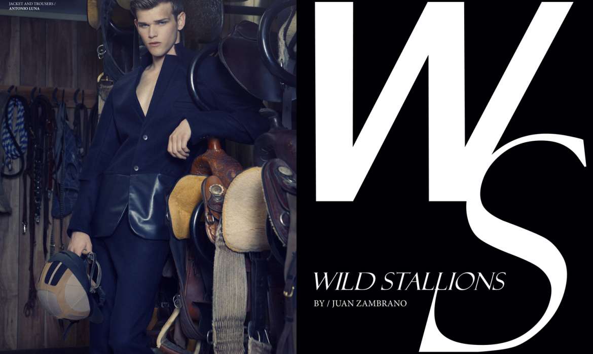 wild stallions-1