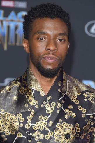 Chadwick Boseman - Black Panther Premiere LA  5 