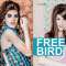 FREE BIRD-1