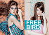 FREE BIRD-1