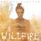 Rachel Platten Wildfire (1)web