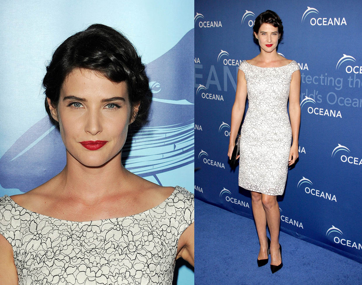 Cobie Smulders Oceana partners award gala-web