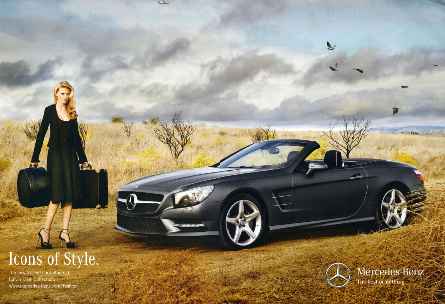 Mercedes-web1.jpg