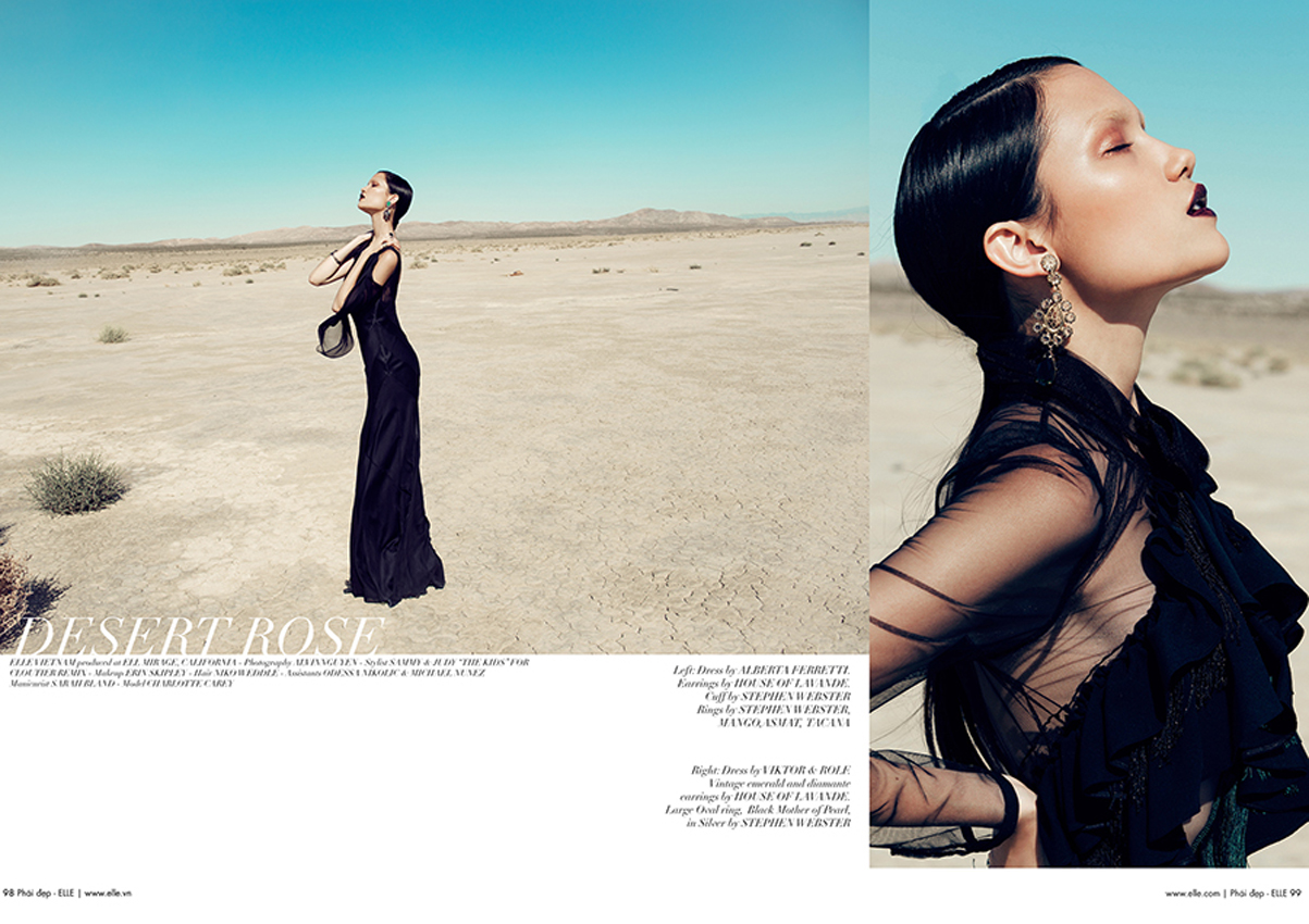 Desert-Rose-Tearsheets-1__1_.jpg